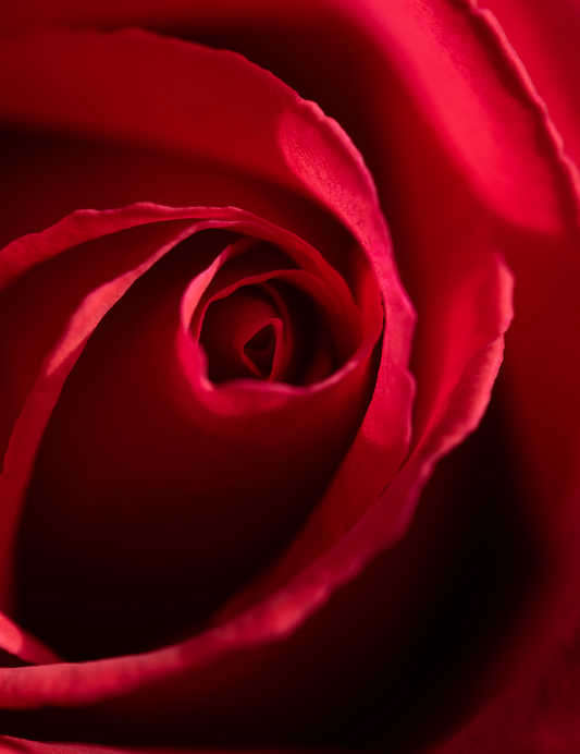 Midnight Rose Castile Shower Gel