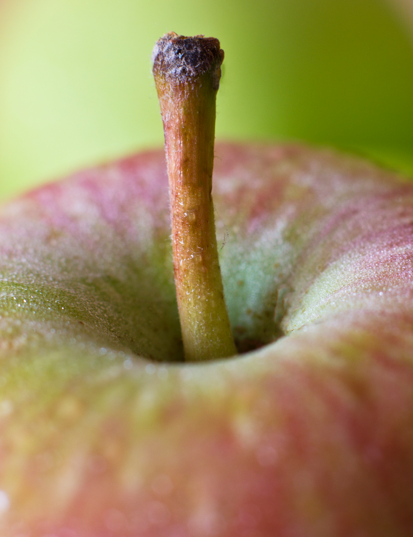 Apple Eclipse Castile Shower Gel